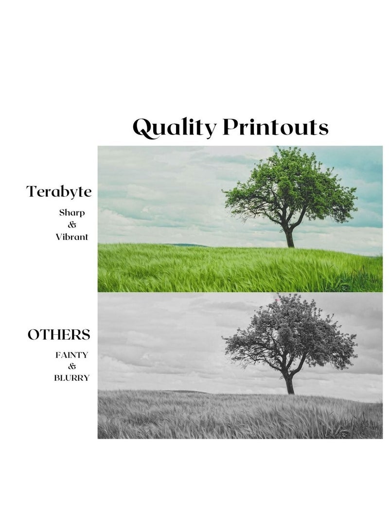 Terabyte Laser Printer Cartridge No. 205A CYAN - Image 4