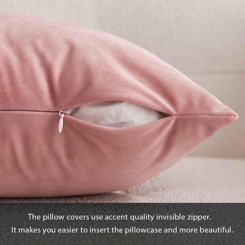 ميولي حزمة Miulee من 2 وسادة مخملية وردية دبانية تغطي 24 × 24 بوصة ناعم ناعم صلبة مربعة مربعة مجموعة وسادة لغرفة نوم أريكة الأريكة الينابيع - Image 3