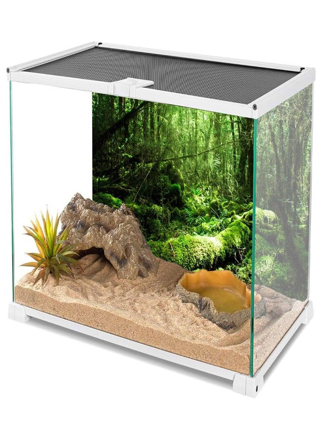 AWERT Vinyl 36x24 inches Tropical Terrarium Background Rainforest Aquarium Background Green Tree Reptile Habitat Background - Image 3