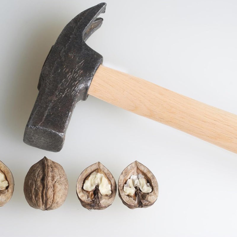 [Temporary in stock] Didiseaon Wooden Hammer Handle Replacement Round Head Outdoor Hammer Grip Camp Axe Handle Replacement Part and Camping Hatchet Use 5-star rated item Limited edition Ultra low price One-time only offer Category flagship Limited launch price Premium for daily use Easy to carry Selling out fast New upgraded product Indispensable practical goods Match Saudi living habits Local stock & instant dispatch Excellent value for money Highly recommended by buyers Local stock available Expert recommended Irresistible price Well-received bestseller Low stock in market Upgraded new version Not sold elsewhere Daily hot sale Comfortable to use - Image 5