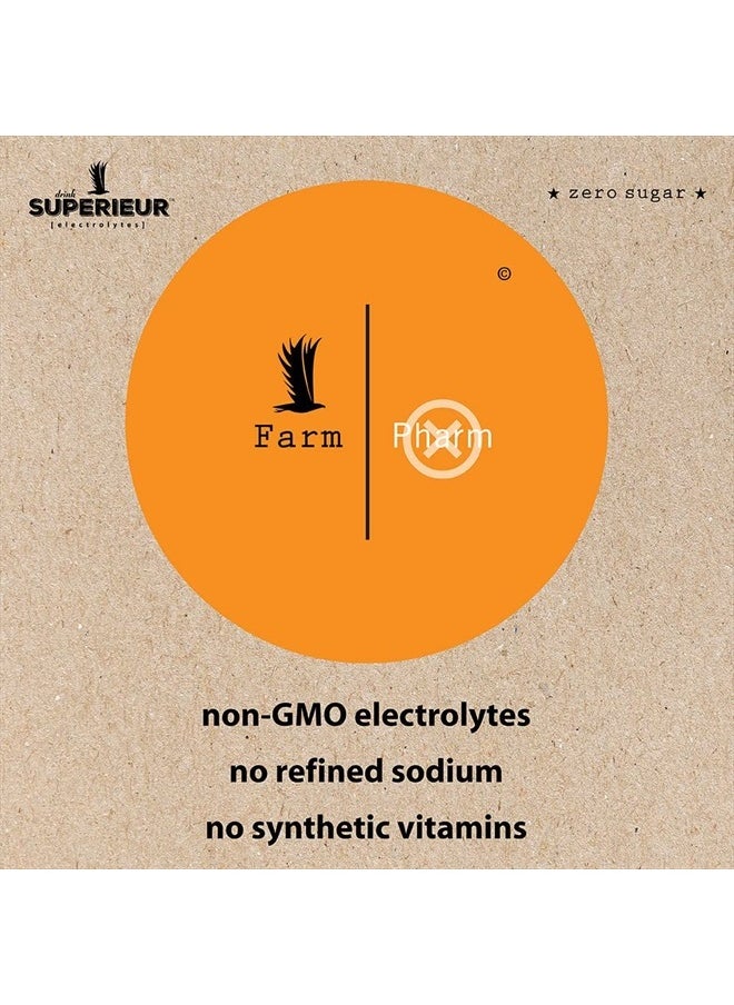 Superieur - Electrolytes – Plant Based Electrolyte Supplement w/Sea Minerals for Hydration & Recovery – Keto Friendly, Non-GMO, Zero Sugar, Vegan Healthy Sports Drink Powder – Citrus (70 Servings) - Image 1