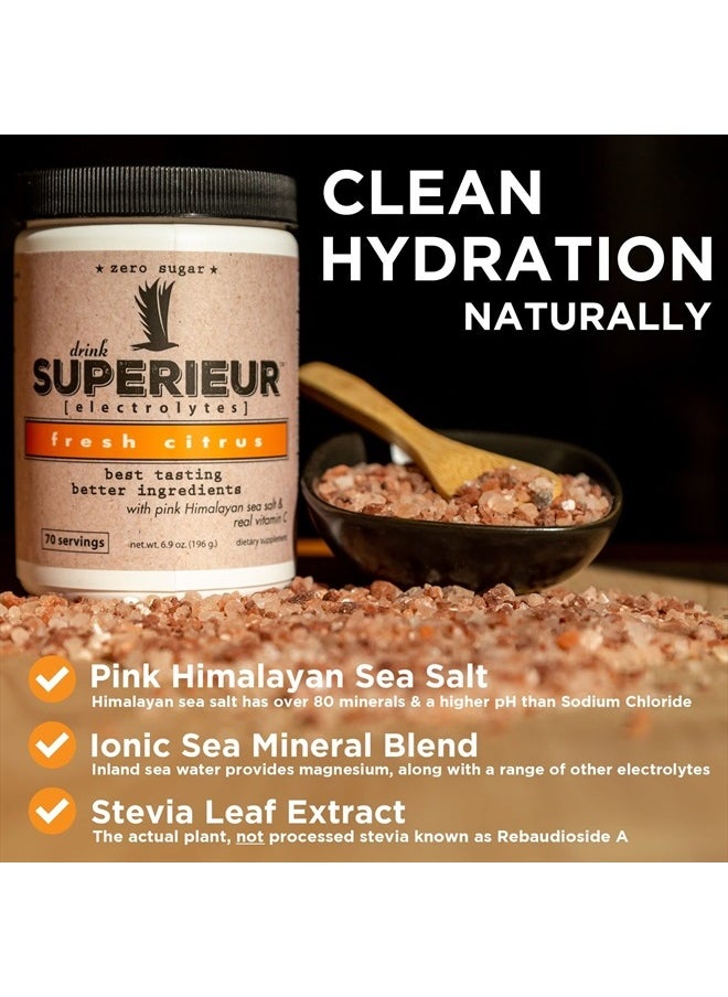 Superieur - Electrolytes – Plant Based Electrolyte Supplement w/Sea Minerals for Hydration & Recovery – Keto Friendly, Non-GMO, Zero Sugar, Vegan Healthy Sports Drink Powder – Citrus (70 Servings) - Image 1