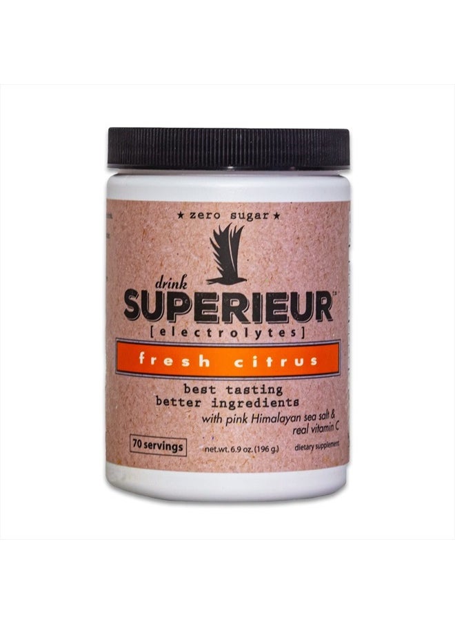 Superieur - Electrolytes – Plant Based Electrolyte Supplement w/Sea Minerals for Hydration & Recovery – Keto Friendly, Non-GMO, Zero Sugar, Vegan Healthy Sports Drink Powder – Citrus (70 Servings) - Image 1