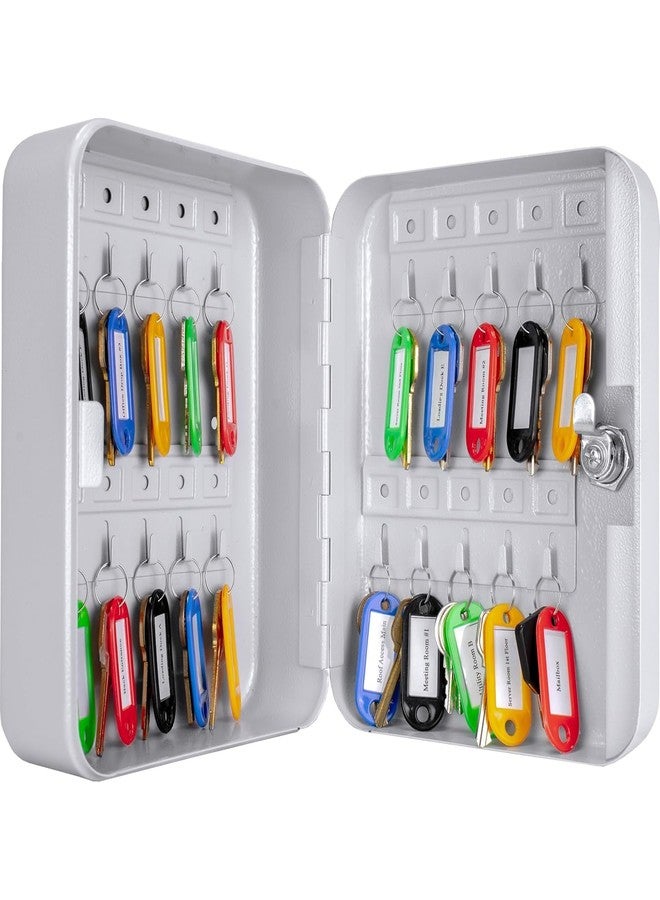 LASALE Key Organizer Lock Box – 20 Key Capacity, Locking Metal Cabinet with Color Key Tags and Label Slots – Wall Mount Storage for Commercial or Residential - Image 1