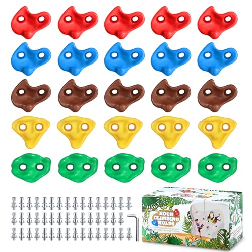 TOPNEW 25PCS Rock Climbing Holds for Kids Large Climbing Holds for Play Set Swingset Adult Rock Wall Holds with Mounting Hardware for Indoor Outdoor Rock Climbing Wall - Image 1