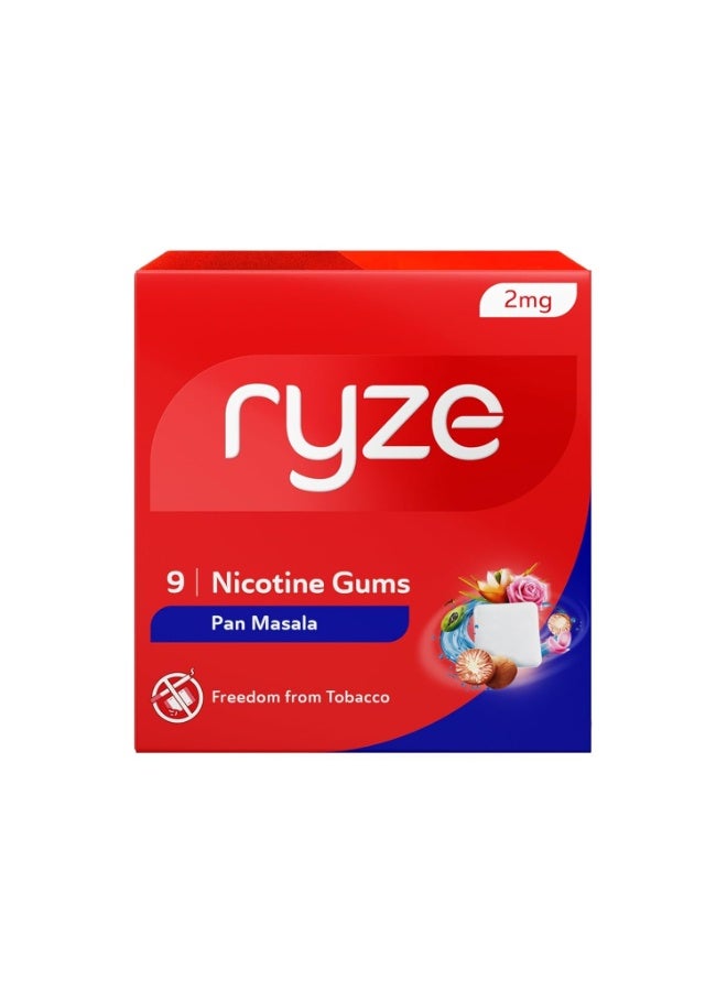RYZE Nicotine Gum 2mg | Pan Masala | Soft Chew, Easy on Throat, Sugar Free | Quitting Smoking & Chewing | Smoking Cessation | 180 gums (9 Gums Each Pack) | Combo Pack of 20 - Image 2