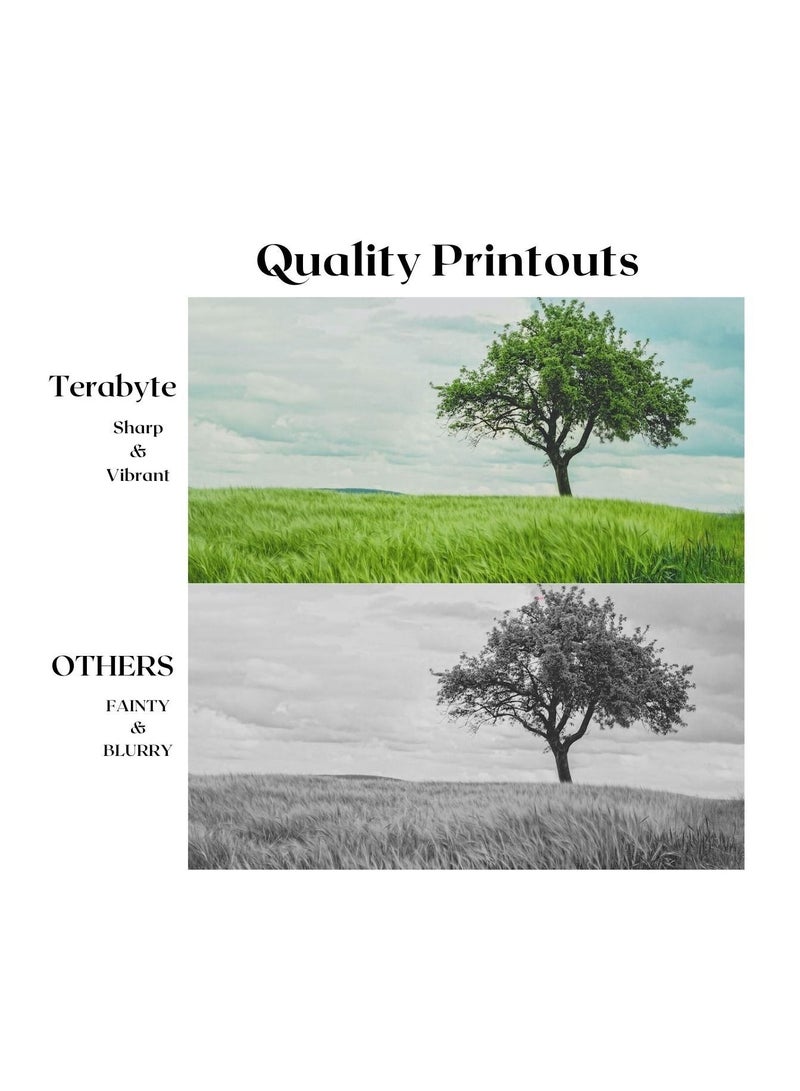 Terabyte TN114 COMPATIBLE TONER TERABYTE - Image 2