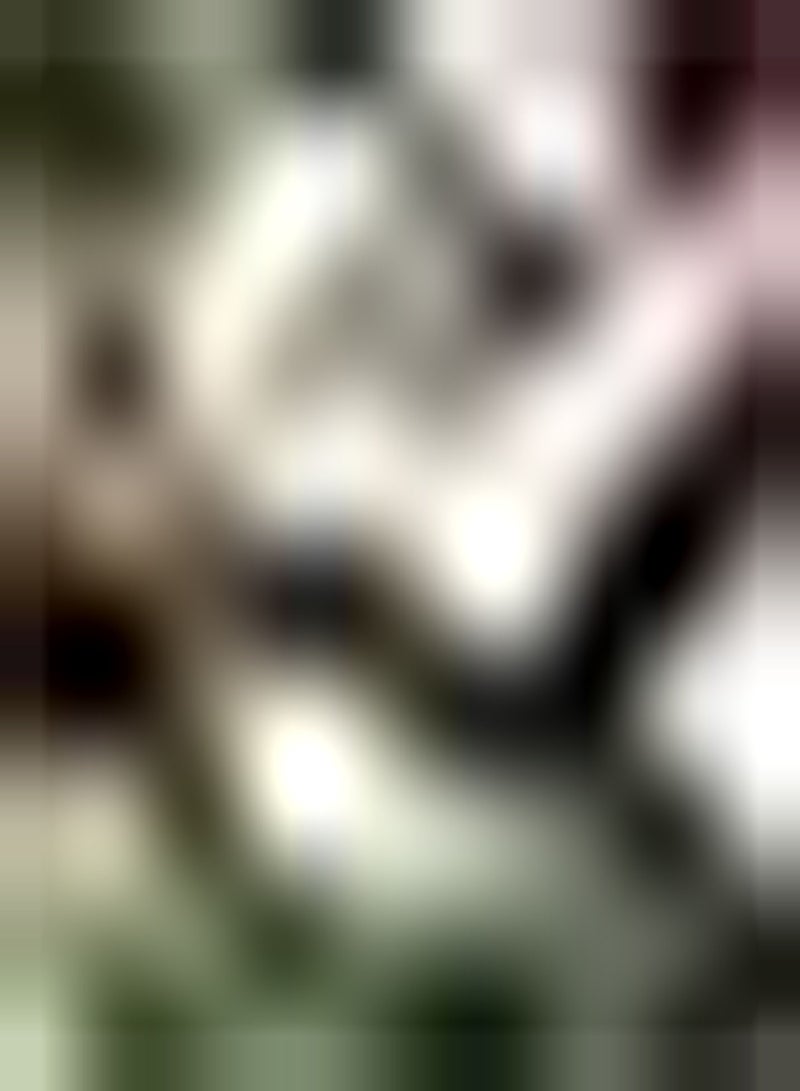 GGOOT 100pcs Mix Cosmos Seeds for Planting Garden Flowers Enjoy a Gorgeous Display of Color and Fragrance Great for Any Gardener - Image 2