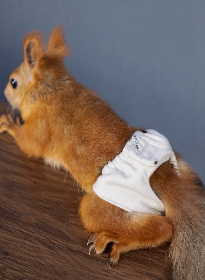 WCDJOMOP Reusable Washable Squirrel Diapers, Highly Absorbent with Strong & Flexible Pants No Leak Reusable Diapers Urine Wet Pants for Squirrel,Fancy Rat,Groundhog (M (3.9" - 6.3"), 3 Pcs) - Image 4