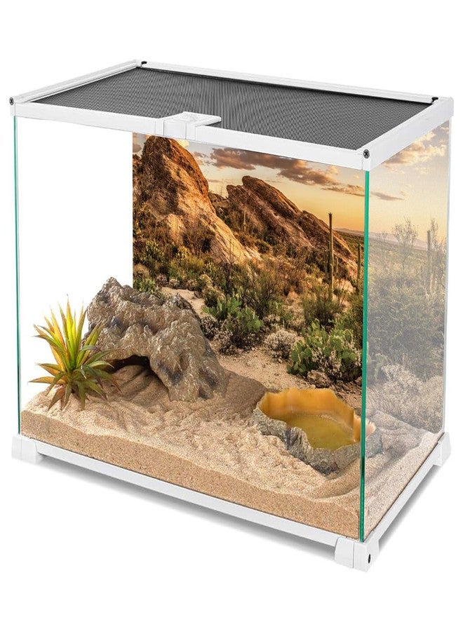 AWERT Reptile Habitat Background Blue Sky Oasis Cactus Sun and Desert Terrarium Background 48x18 inches Durable Polyester Background - Image 3
