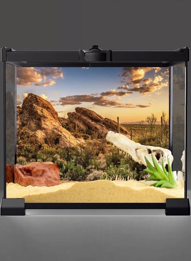 AWERT Reptile Habitat Background Blue Sky Oasis Cactus Sun and Desert Terrarium Background 48x18 inches Durable Polyester Background - Image 2