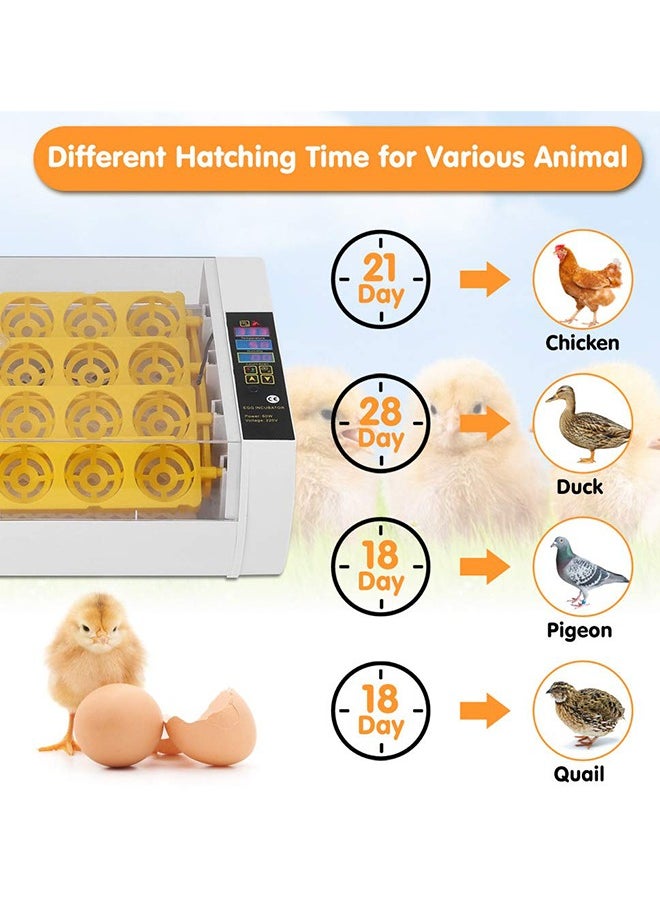 LEXIN 24 Egg Incubator, Automatic Turning Digital Chicken Egg Hatcher, Temperature and Humidity Control with Digital Display for Hatching Chickens Ducks Goose and etc..  - Image 3