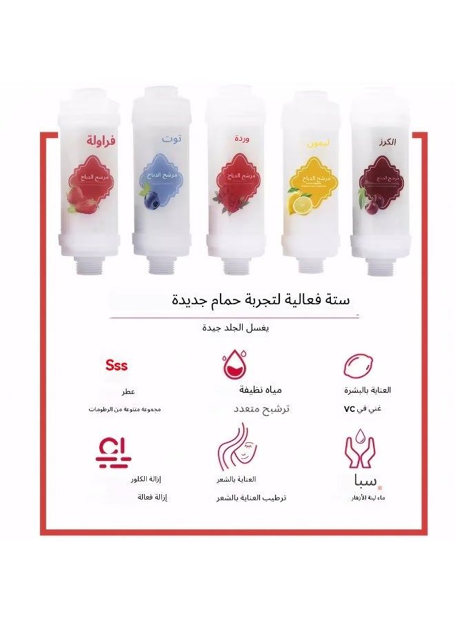 رأس دش للعلاج بالروائح العطرية مرشح مسبق لمياه الصنبور المنزلية لإزالة الكلور ورأس دش للعناية بالبشرة وإكسسوارات الحمام - Image 2