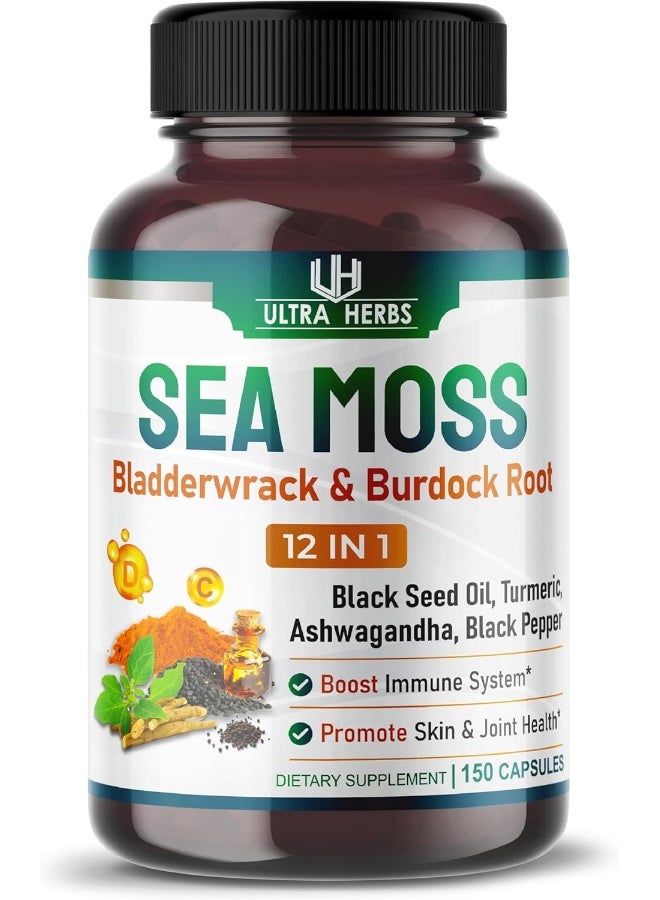 ULTRA HERBS كبسولات طحالب البحر العضوية مع زيت الحبة السوداء، أشواغاندا، جذر الأرقطيون، بلادر وراك لنظام المناعة، الأمعاء، البشرة والطاقة *صنع واختبار في الولايات المتحدة* - Image 1