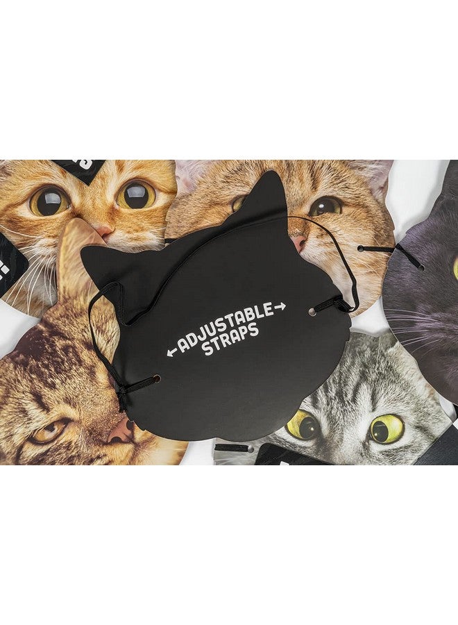 Professor Puzzle Like Herding Cats -The cat-astrophic Acting Game! - Image 5