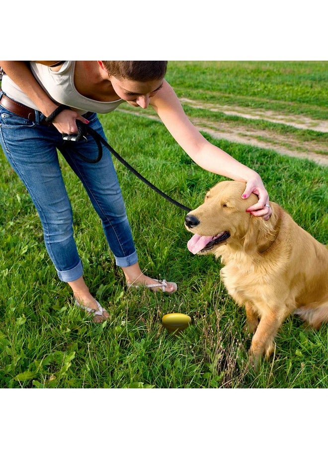 Simple Solution Simple Solution Pee Post Outdoor Dog Training Aid, 13-Inch Pheromone-Infused Stake for Puppy Potty Training, Yard Marking, and Housebreaking, Dog Pee Attractant for Lawn & Garden  - Image 4