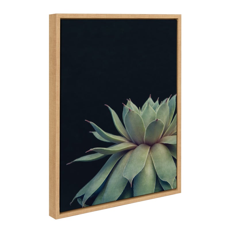 Kate and Laurel Kate and Laurel Sylvie Succulent 8 Framed Canvas Wall Art by Emiko and Mark Franzen of F2Images 18x24 Natural Dramatic Greenery Art for Wall 