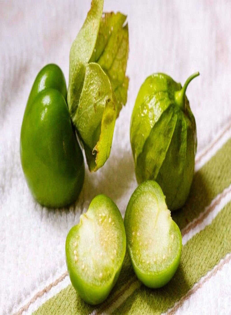 GGOOT TOMA Verde TOMATILLO Seeds * Heirloom * Salsa * 20 Count Pkt . - Image 1