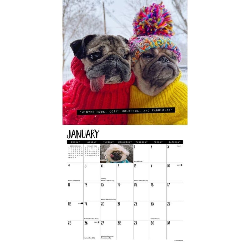 Willow Creek Press, Doug the Pug 2026 Mini Wall Calendar, 7'' X 7'', 18-Month Calendar with Stapled Binding - Image 3