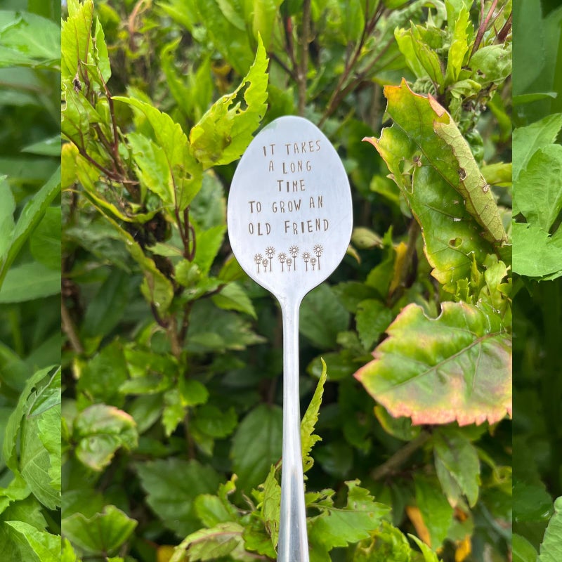 PLWalker Garden Friendship Gift for Women Gardeners, Plant Marker Stake Label Sign Tag, Gardening Gifts for Woman Plant Lovers, Metal Garden Decoration (Grow an Old Friend-B) - Image 4