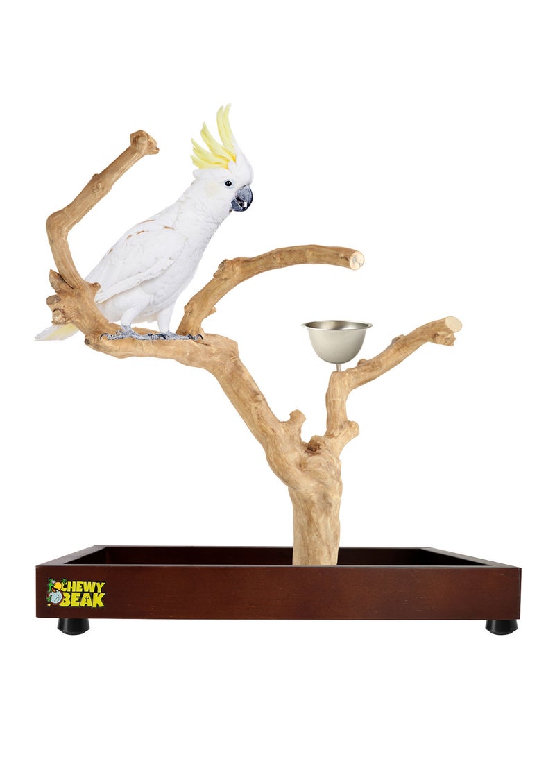CHEWY BEAK Bird Stand Table Top Natural wooden Parrot Play Stand Indonesian Java wood Tree Perches with Stainless steel feeder medium size - Image 1