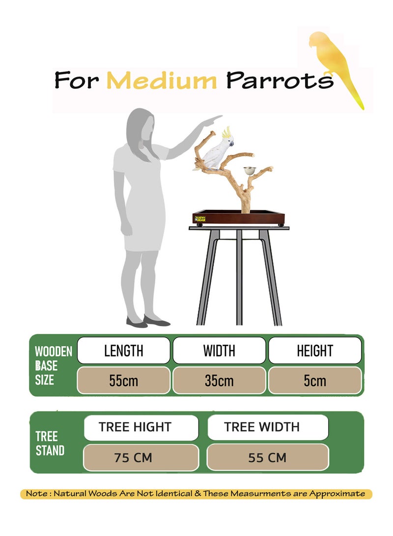 CHEWY BEAK Bird Stand Table Top Natural wooden Parrot Play Stand Indonesian Java wood Tree Perches with Stainless steel feeder medium size - Image 2