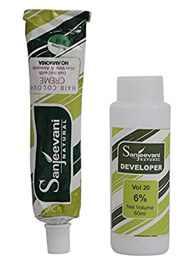 Sanjeevani Natural - No Ammonia Hair Color Creme For Women & Men, Dark Brown, 110 ml - Image 1