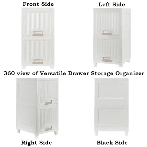 Ashlas Chest of Drawers : Versatile Drawer Storage Organizer & Organisers Storage Box for Ideal for Neat and Tidy Storage Solutions plastic drawers storage (2 Layer) - Image 5