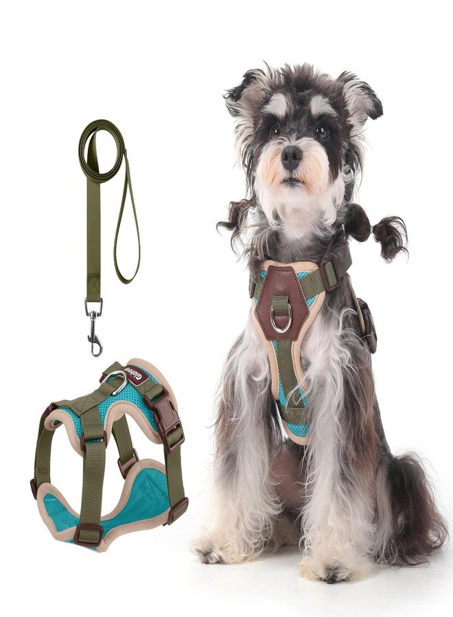 Glohoop Small Dog Harness and Leash Set, Breathable Mesh Puppy Harness, Adjustable Dog Harness for Small Medium Large Dogs, No-Pull Pet Harness for Daily Walking (Lakeblue, Small) - Image 1
