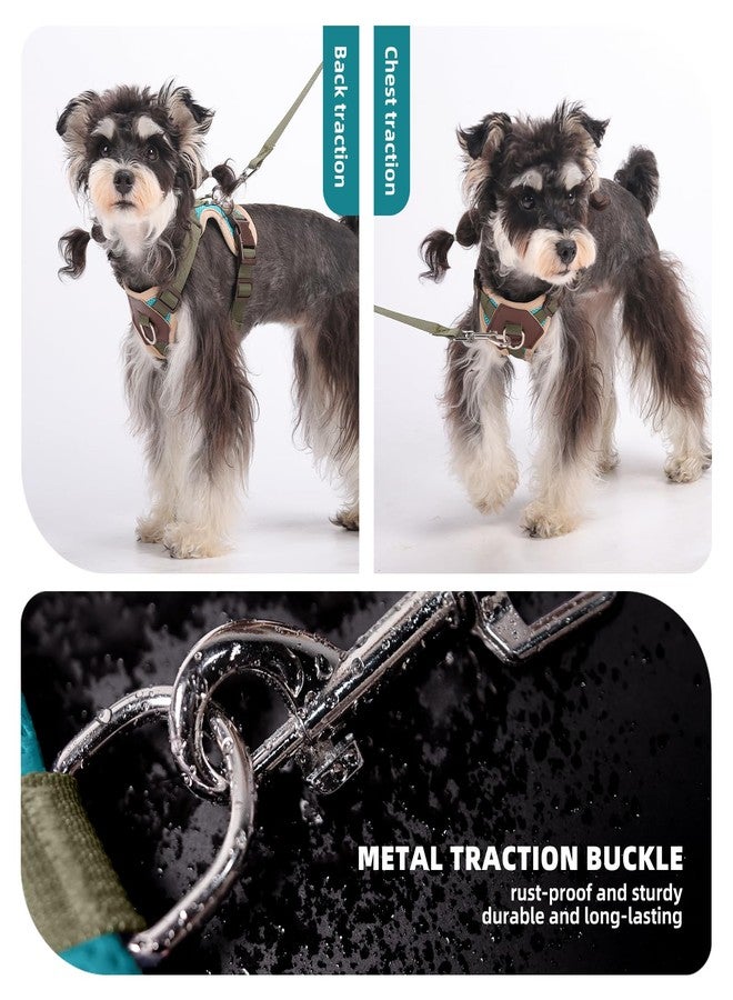 Glohoop Small Dog Harness and Leash Set, Breathable Mesh Puppy Harness, Adjustable Dog Harness for Small Medium Large Dogs, No-Pull Pet Harness for Daily Walking (Lakeblue, Small) - Image 3