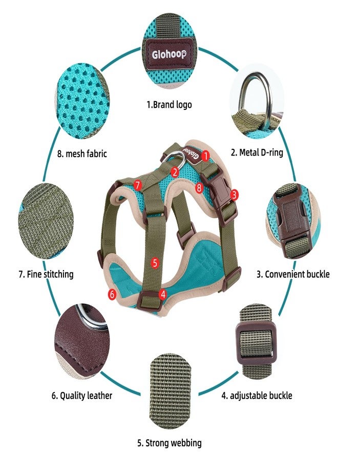 Glohoop Small Dog Harness and Leash Set, Breathable Mesh Puppy Harness, Adjustable Dog Harness for Small Medium Large Dogs, No-Pull Pet Harness for Daily Walking (Lakeblue, Small) - Image 2