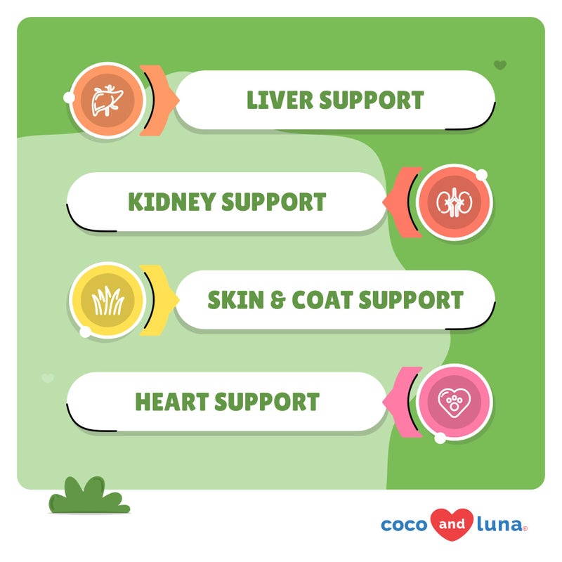 Coco and Luna Milk Thistle for Dogs - 120 Chewable Tablets - Silymarin - Liver and Kidney Support with EPA & DHA - Detox - Liver Supplement for Dogs with Choline and L-Arginine - Image 2