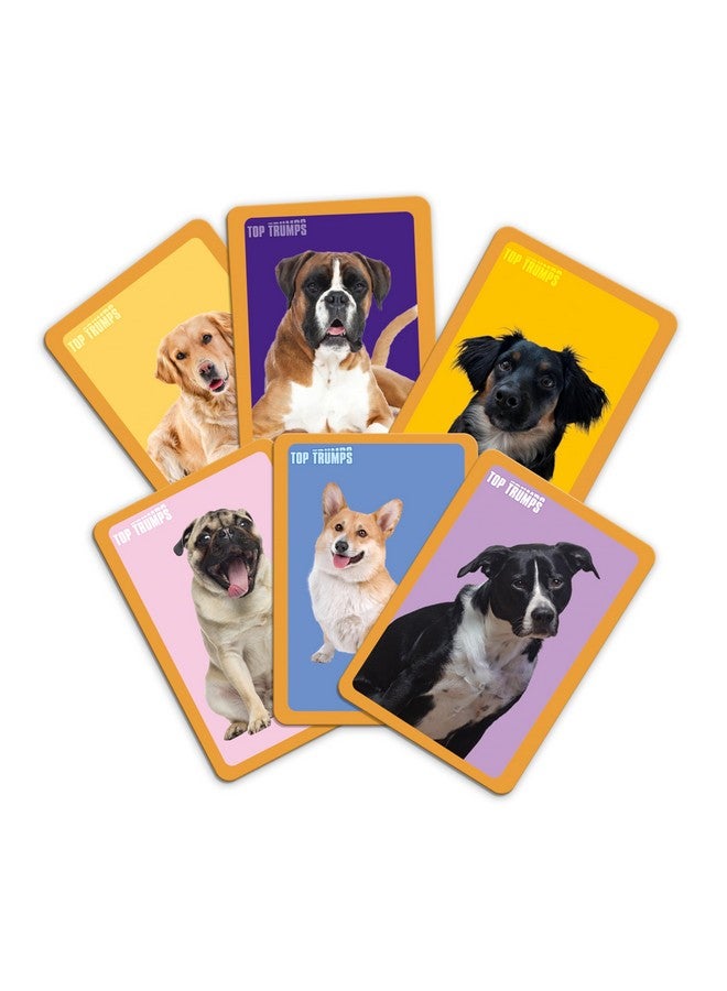 Top Trumps Match Game Dogs - Family Board Games for Kids and Adults - Matching Game and Memory Game - Fun Two Player Kids Games - Memories and Learning, Board Games for Kids 4 and up - Image 2