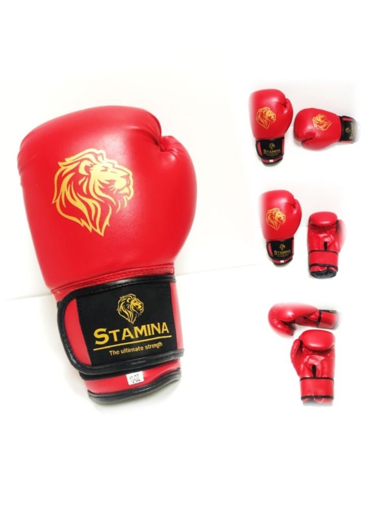 Stamina Unleash Your Power with Precision Synthetic Leather Training Boxing Gloves - Image 2