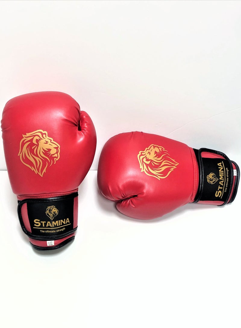 Stamina Unleash Your Power with Precision Synthetic Leather Training Boxing Gloves - Image 1