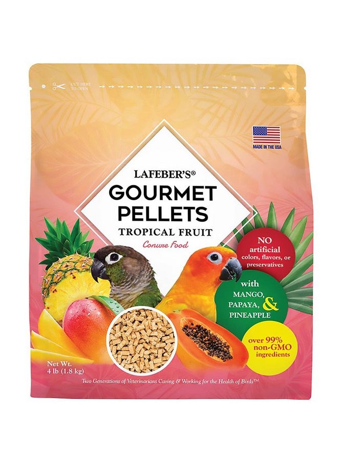 لافيبيرز حبيبات طعام الطيور الأليفة من LAFEBER'S Tropical Fruit Gourmet، بدون سكر مضاف، مصنوعة من مكونات غير معدلة وراثيًا ومناسبة للبشر، للطيور الكونيور، 4 رطل  - Image 1