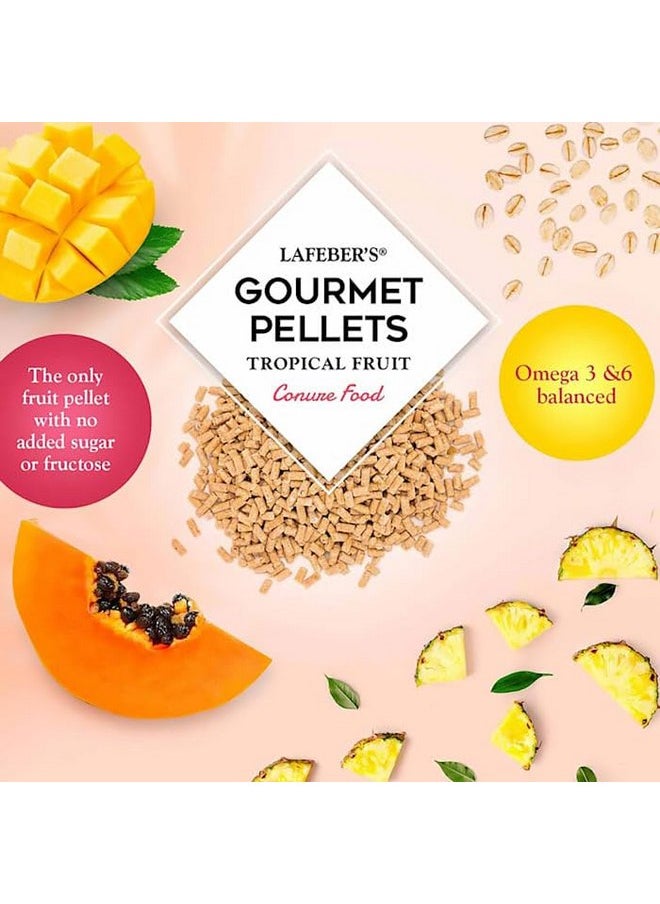 لافيبيرز حبيبات طعام الطيور الأليفة من LAFEBER'S Tropical Fruit Gourmet، بدون سكر مضاف، مصنوعة من مكونات غير معدلة وراثيًا ومناسبة للبشر، للطيور الكونيور، 4 رطل  - Image 4