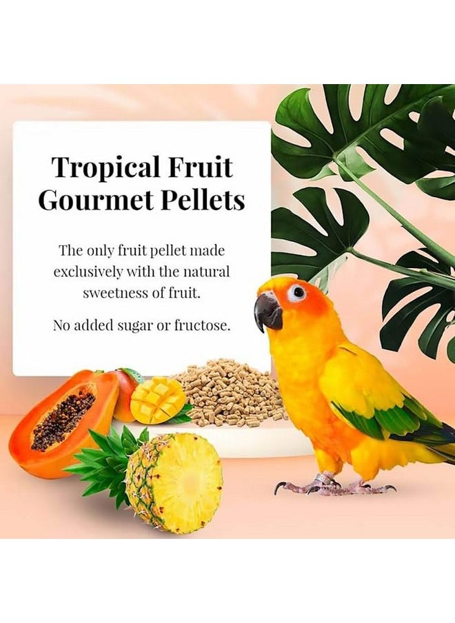 لافيبيرز حبيبات طعام الطيور الأليفة من LAFEBER'S Tropical Fruit Gourmet، بدون سكر مضاف، مصنوعة من مكونات غير معدلة وراثيًا ومناسبة للبشر، للطيور الكونيور، 4 رطل  - Image 2