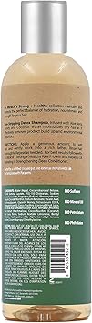 Dr Miracle's Dr Miracles Strong Healthy Non Stripping Detox Shampoo Contains Aloe Vera Honey and Coconut Water to combat dryness shedding and breakage to support healthy hair and a thriving scalp - Image 2