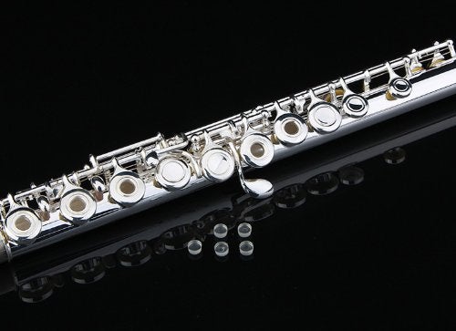 Glory Silver Plated Intermediate Open/Closed Hole C Flute with Case,Tuning Rod,Polish Cloth,Joint Grease,a pair of Gloves and screw driver - Image 3