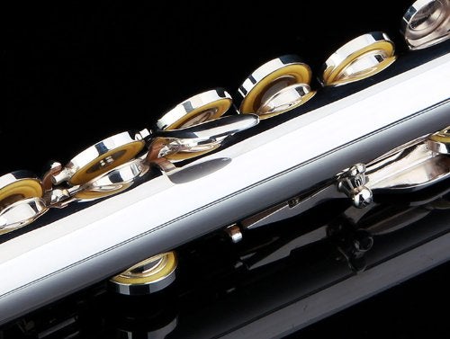 Glory Silver Plated Intermediate Open/Closed Hole C Flute with Case,Tuning Rod,Polish Cloth,Joint Grease,a pair of Gloves and screw driver - Image 4