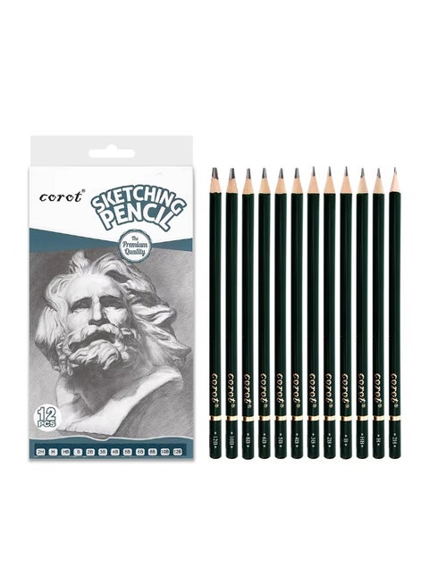 Premium Sketching Pencil Set (12 PCS) - Hard to Soft Grades 2H to 12B - Extra Smooth, Break-Resistant, Non-Toxic Wood for Professional Drawing & Shading