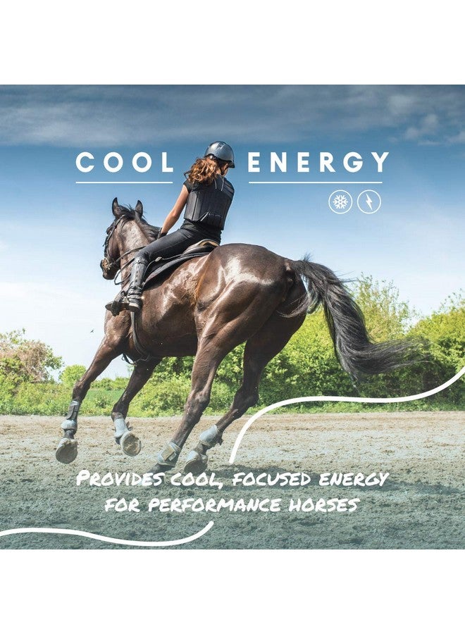 مانا برو كول كالوريز 100 | مكمل غذائي للدهون الجافة للخيول لزيادة الوزن بشكل صحي | 8 أرطال - Image 3