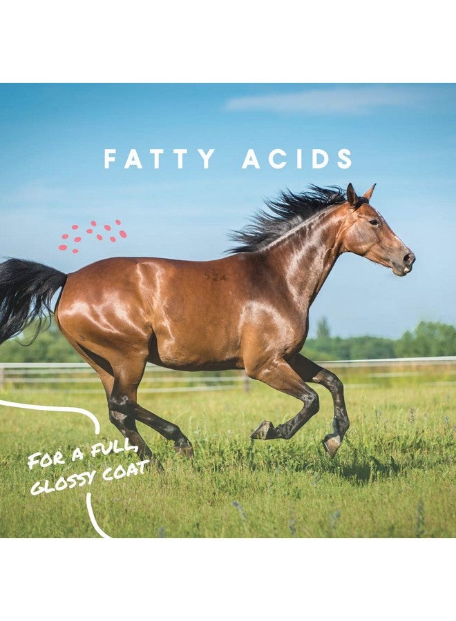 مانا برو كول كالوريز 100 | مكمل غذائي للدهون الجافة للخيول لزيادة الوزن بشكل صحي | 8 أرطال - Image 4