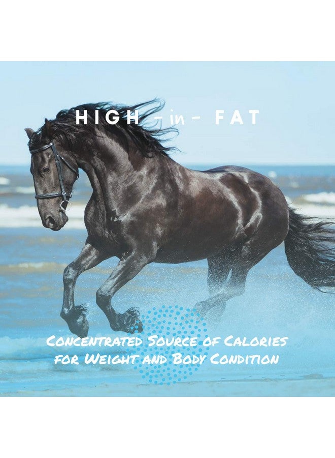 مانا برو كول كالوريز 100 | مكمل غذائي للدهون الجافة للخيول لزيادة الوزن بشكل صحي | 8 أرطال - Image 2