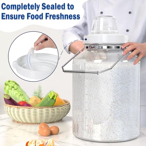 Daitouge 5 Gallon Air Tight Glass Storage Jars, 6.4inch Wide Mouth Canister with Stainless Steel Handle, Large Gallon Glass Jars, Glass Water Jug with Cup for Terrarium, Storage, Dog Treats, Mead Making - Image 2