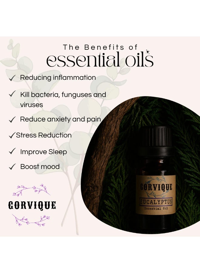 Gorvique Essential Oil, Aromatherapy Diffuser Fragrance Oil for Home 100% Pure & Undiluted Therapeutic Grade | Scent, Spa, Relaxation, Meditation & Yoga - Image 4