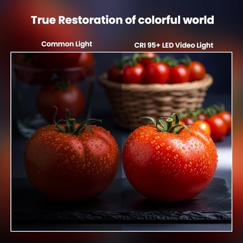 HIFFIN HF-138 Pro Portable Pocket RGB LED Video Light with 21 Lighting Effect Modes, 4000 mAh Inbuilt Battery, 2500K-9000K Full Color - Ideal for Photography, and Product Photography - Image 2