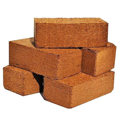 SMOKB Cocopeat Cocopit Block 650 Grams for Garden- Expands to 4 Kg Powder - Image 2
