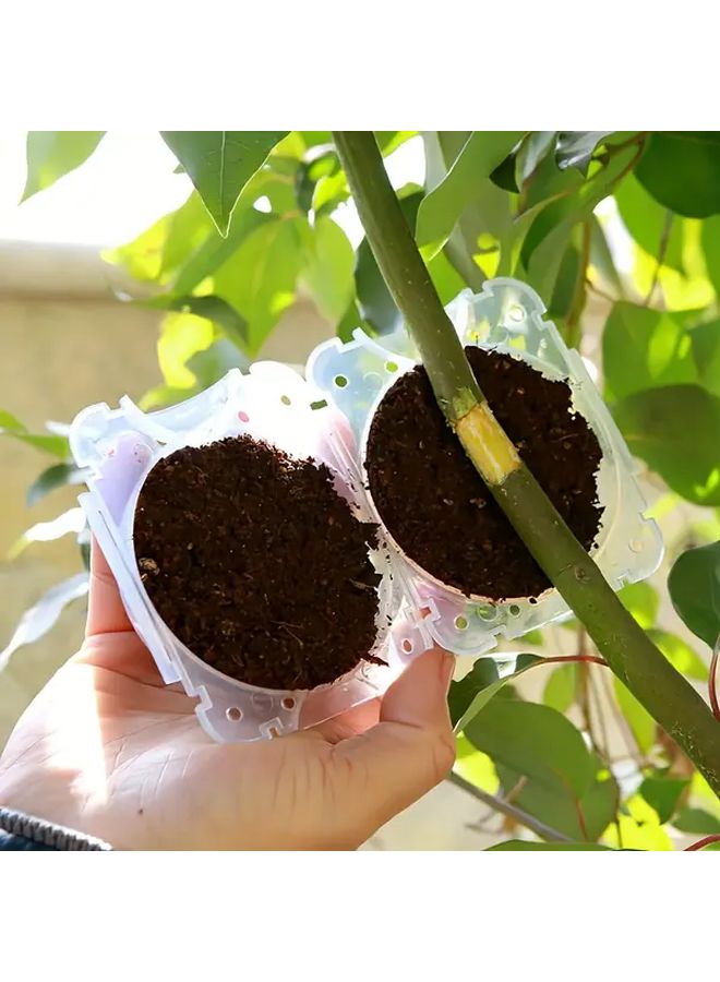 10 قطعة صناديق شفافة لتكاثر النباتات حاويات عقل بلاستيكية عالية الضغط للتطعيم - Image 3